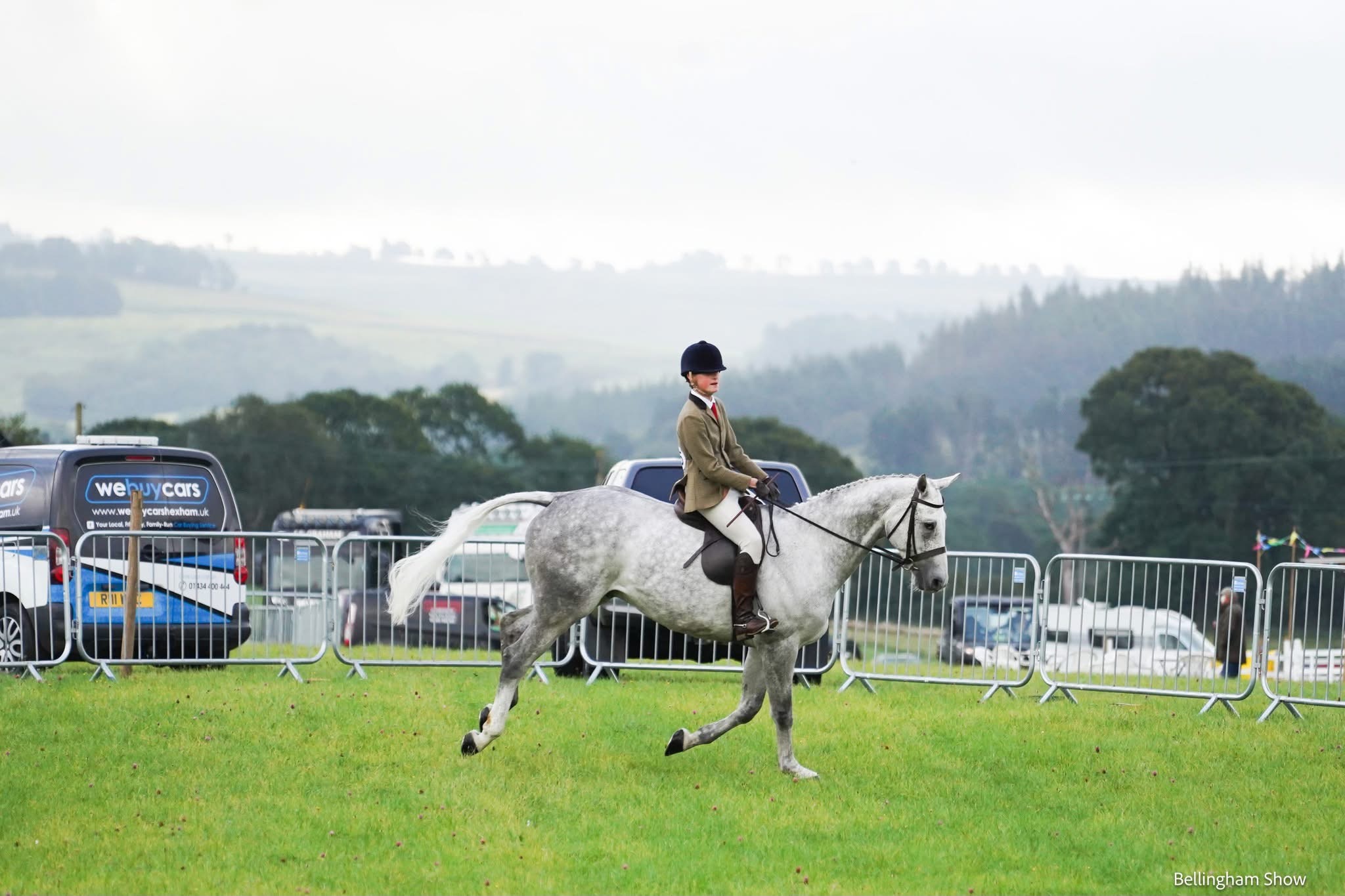 Bellingham show 2025 - Image 3