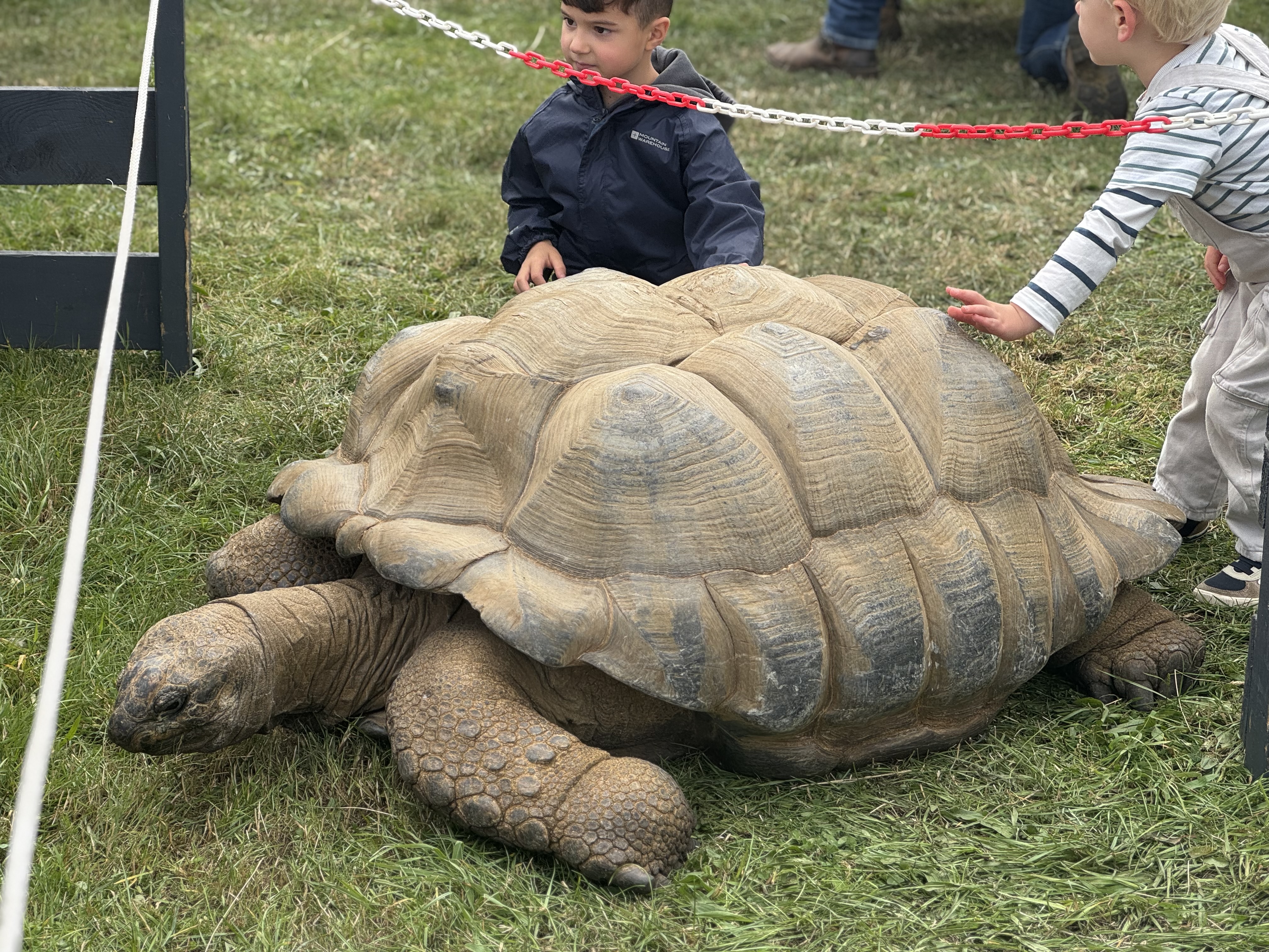 Bellingham show 2025 - Image 10