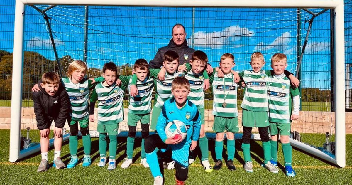 Football club, local sponsorship, we buy cars, Hexham - Image 4